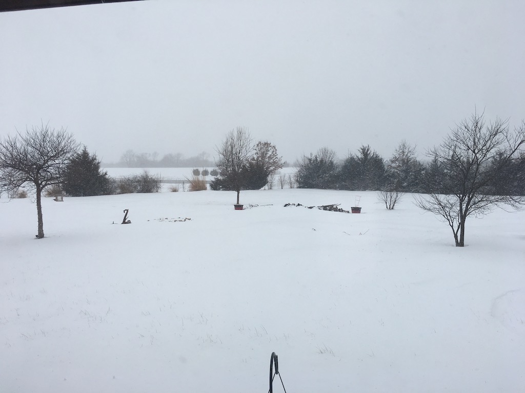 Snowy driveway