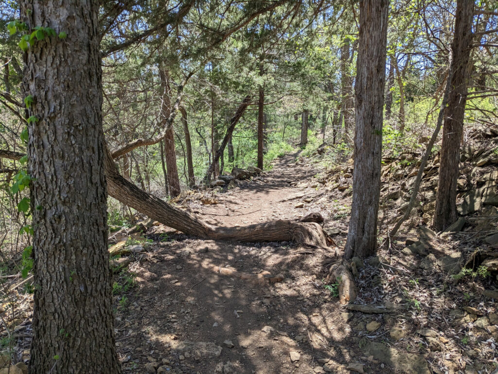 hiking trail with fallen tree